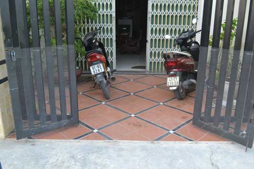 Đà Nẵng: Dân hoang mang vì rắn lục đuôi đỏ tấn công - 2
