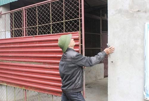 "Đột nhập" trại nuôi hổ lớn nhất ở Thanh Hóa - 4