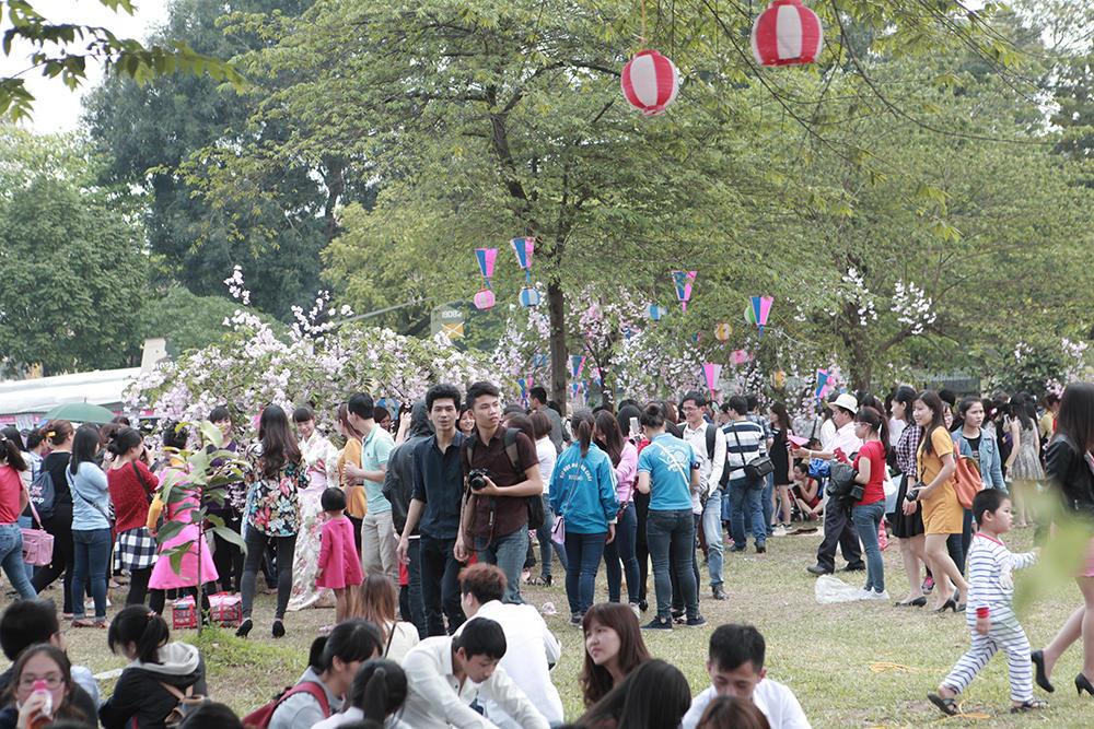 Lễ hội hoa anh đào Nhật Bản 2015 tại Hà Nội kết thúc vào chiều nay.